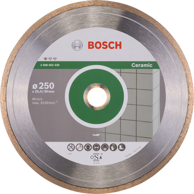 Алмазний диск Bosch Standard for Ceramic 250х30/25,4 мм (2608602539) 2608602539 фото
