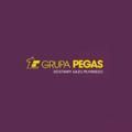 Grupa Pegas
