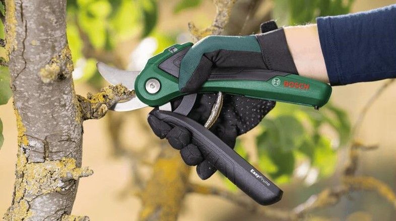 Аккумуляторный секатор Bosch Easy Prune 06008B2102 фото
