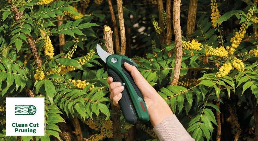 Аккумуляторный секатор Bosch Easy Prune 06008B2102 фото